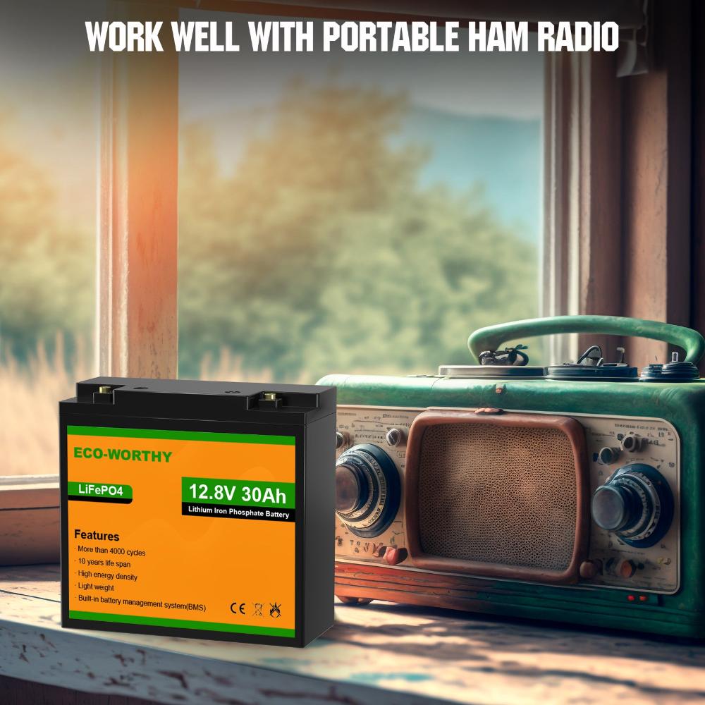 ECO-WORTHY 12V 30Ah LiFePO4 Lithium Battery