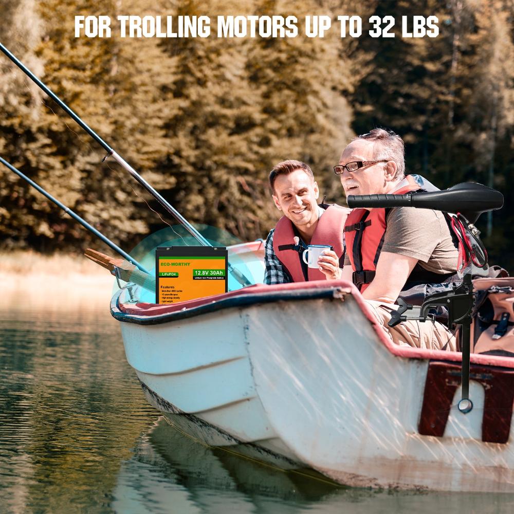 ECO-WORTHY 12V 30Ah LiFePO4 Lithium Battery