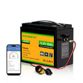 ECO-WORTHY 12V 50Ah LiFePO4 Lithium Battery XT60 with Bluetooth and Low Temp Protection