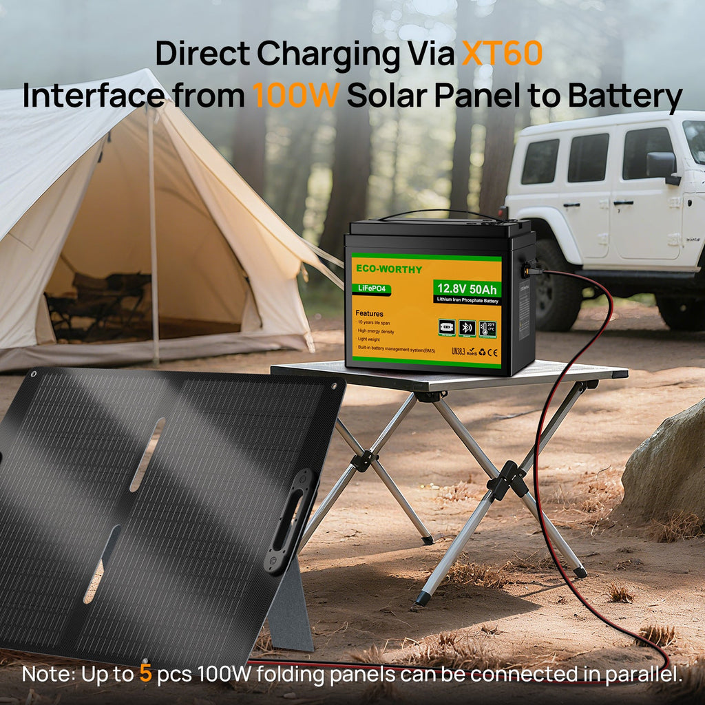ECO-WORTHY 12V 50Ah LiFePO4 Lithium Battery XT60 with Bluetooth and Low Temp Protection