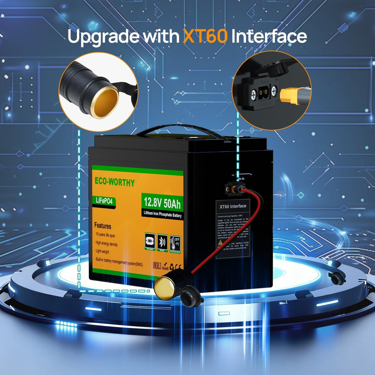 ECO-WORTHY 12V 50Ah LiFePO4 Lithium Battery XT60 with Bluetooth and Low Temp Protection