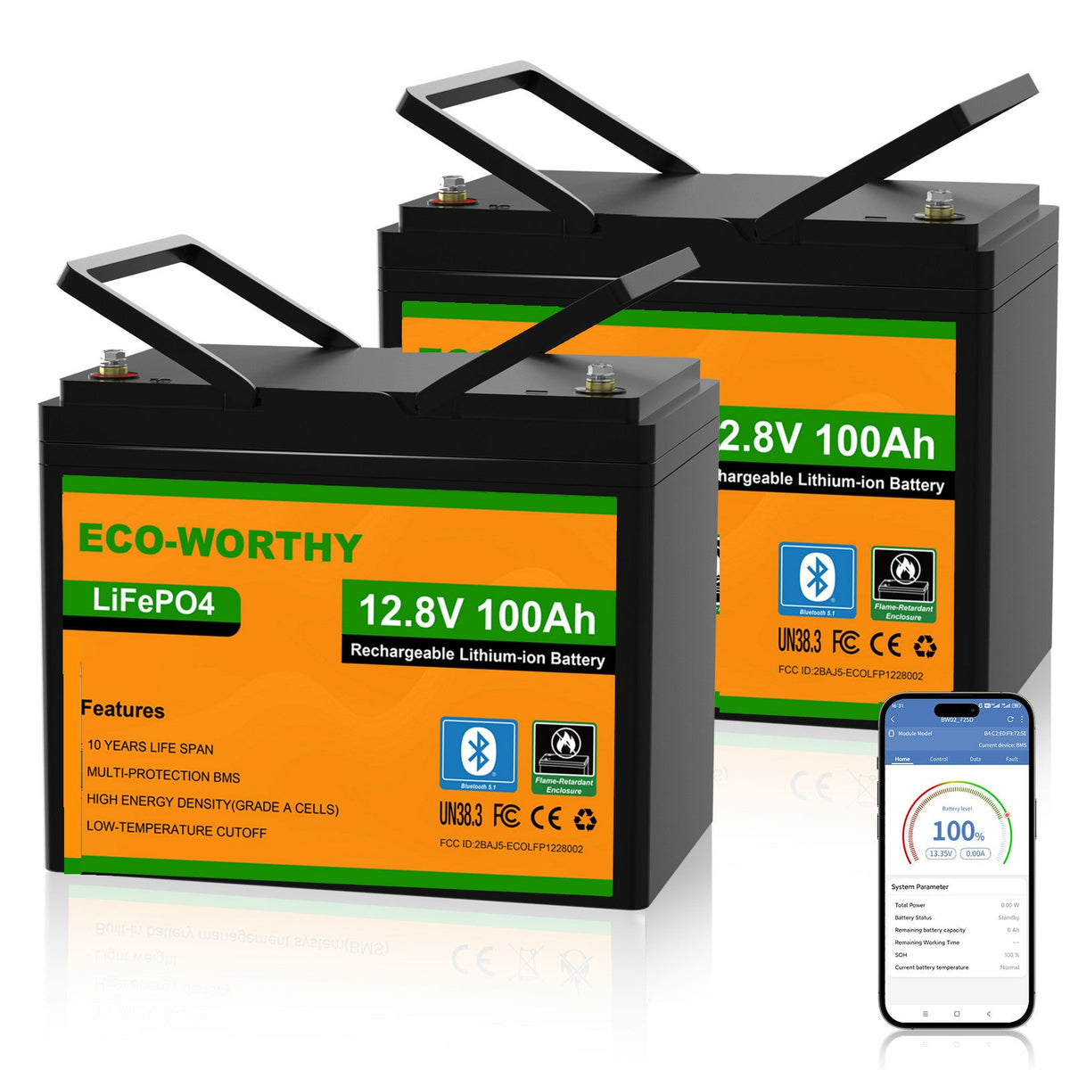 ECO-WORTHY LiFePO4 12V 100Ah Lithium Battery With Bluetooth And Low-temperature Protection